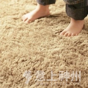 家居裝修裝飾裝修臥室地毯客廳地毯新房裝修老房裝修