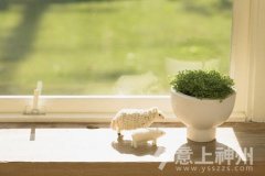 �p�ٰ�����ô�^���Ҿ��b����������