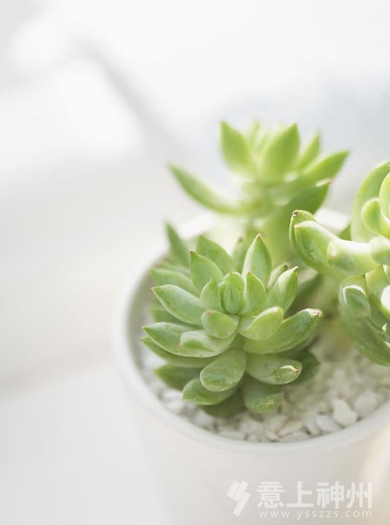 甲醛祛味誤區(qū),居家裝修,環(huán)保居家,裝飾裝修