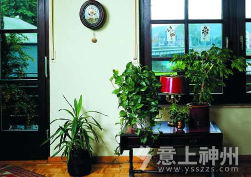 家中園藝應該要注意什么